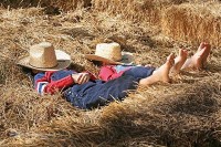 eigenes Pferd mitbringen auf Ferien Urlaub Holland Niederlande